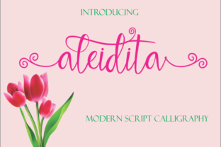 Aleidita: A Modern Calligraphy Font That Elevates Digital Branding