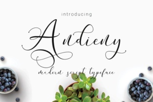Andieny: A Hand-Lettered Script Font That Elevates Real Small Business Branding