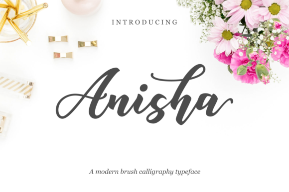 Anisha Script Font for Small Business Branding