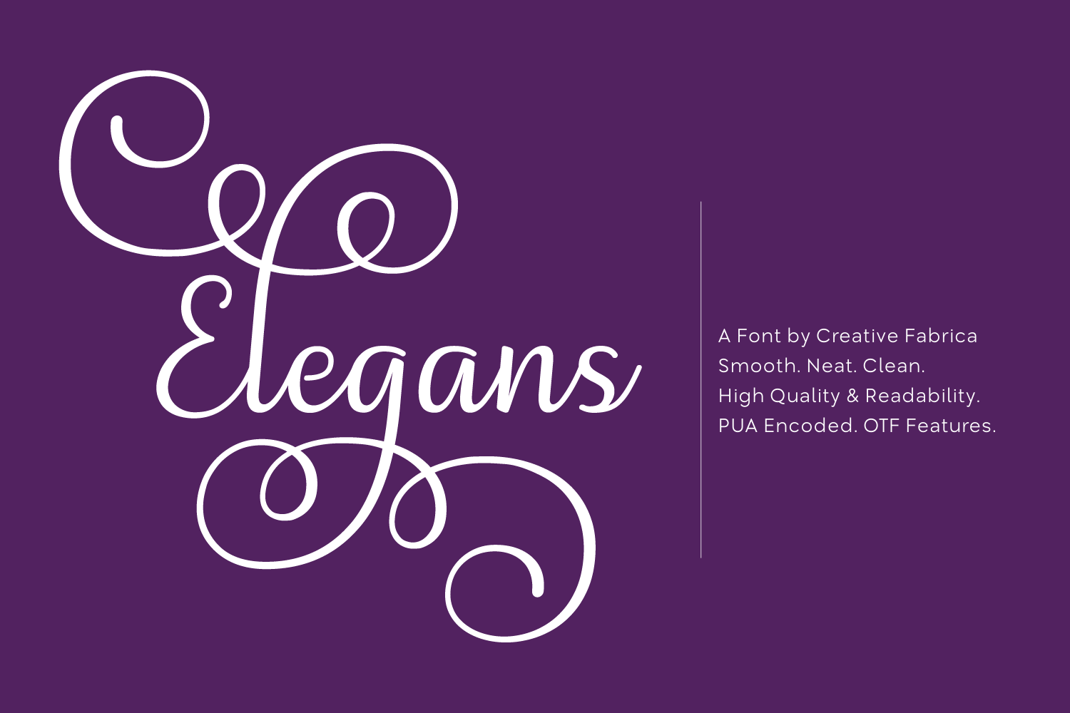 Elegans Font: Elegant Script for Small Business Branding