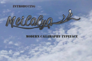 Meilalya: A Modern Script Font That Feels Human