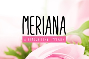 Meriana: A Sweet, Legible Handwritten Font for Campaign Clarity