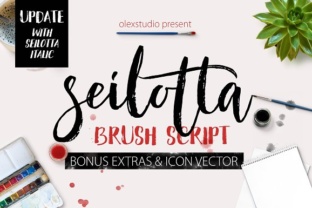 Seilotta: A Brush Script Font That Feels Like It Was Made for Real Branding
