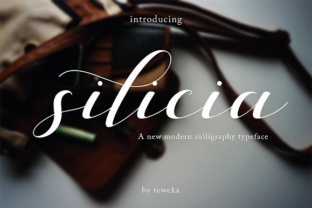 Silicia: A Fresh Script Font for Campaign-Ready Headlines