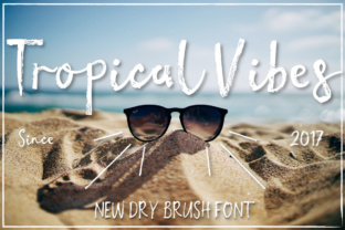 Tropical Vibes: A Feminine Dry Brush Font for Brand Charm